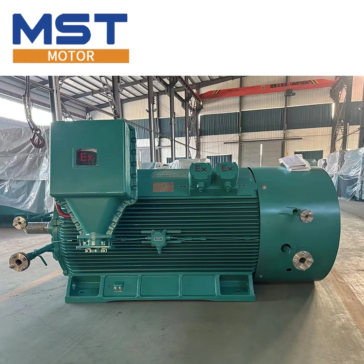 Explosion Proof Electric Motor